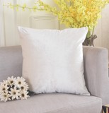 HOME BRILLIANT Velvet Square Throw Pillow Cover Large Cushion Cover Euro Sham for Bedding/Nursery, 2