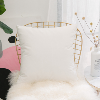 HOME BRILLIANT Ultra Soft Velvet Solid Decorative Throw Pillowcase Cover Euro Sham for Baby Sofa Liv
